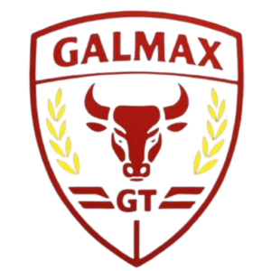 srcset="https://galmax-gt.com/wp-content/uploads/2026/05/cropped-Galmax-favicon-e1778602928567-200x200.png